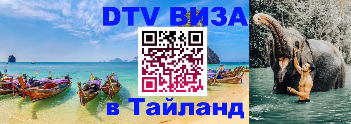 Оформление DTV визы под ключ: стоимость и тарифы, только загранпаспорт - 21.11.2025 
